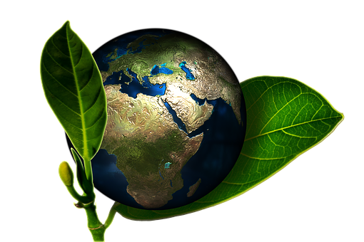 (tratto da Pixabay.com)