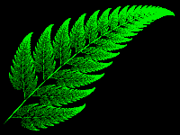 I frattali in natura (tratto da Wikipedia)